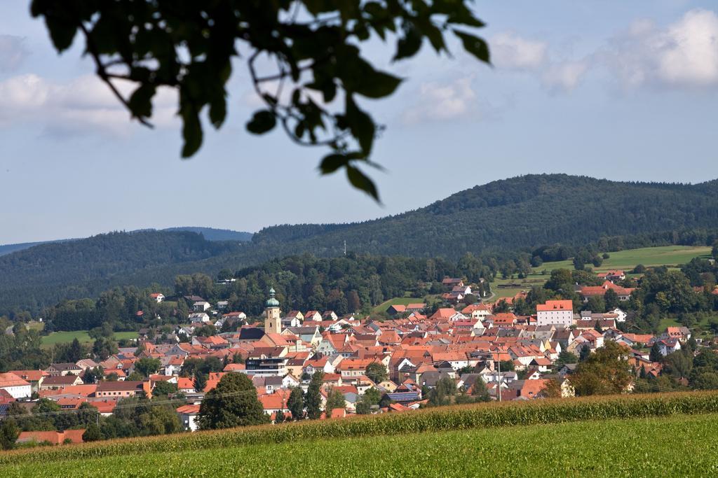 Daschner Gmbh Waldmünchen Eksteriør billede
